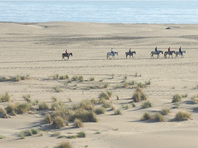 800x600_laplagedelespiguetteaugrauduroi-1895